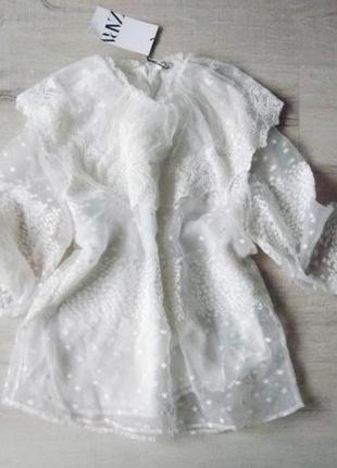 Zara нова шикарна нарядна блузка мереживна органза розмір s8 фото