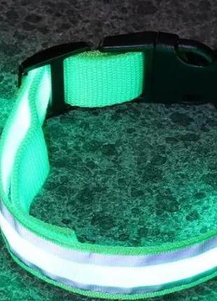 Светящийся ошейник для собак dogclub m (40-45 см) зеленый