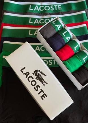 Мужской набор трусов lacoste | комплект мужского белья лакост их хлопка 5 шт боксеры