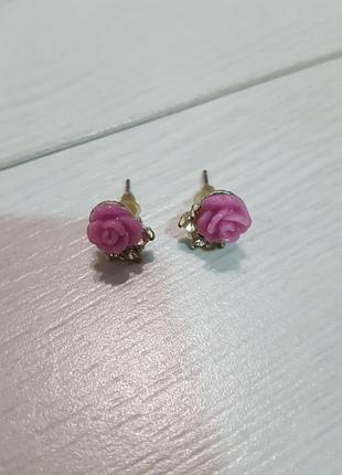 Серьги