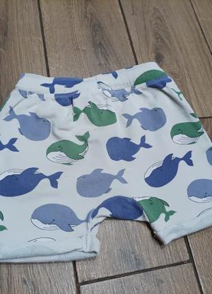 Крутезні шорти 2