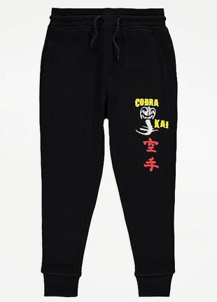 Джоггеры cobra kai george