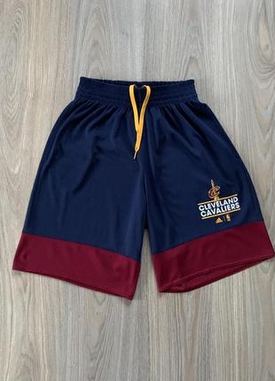 Мужские спортивные баскетбольные шорты с принтом adidas nba cleveland cavaliers