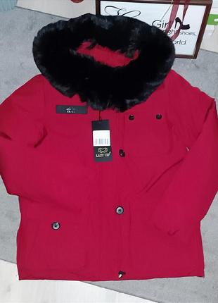 Стильная женская куртка, пуховик, пальто, парка