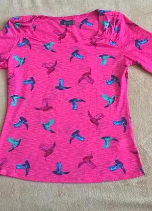 Кофточка с колибри