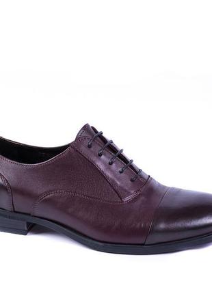 Бордові шкіряні туфлі ікос - 43 розмір