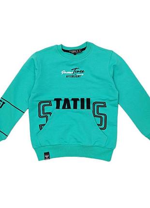 Світшот на хлопчика арт. 4345