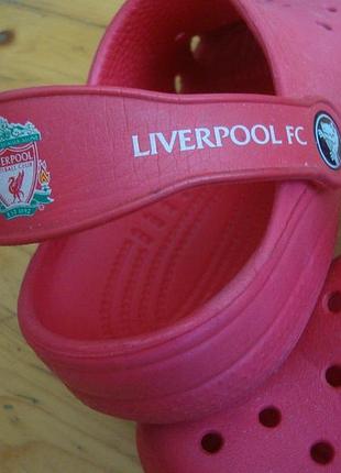 liverpool fc crocs