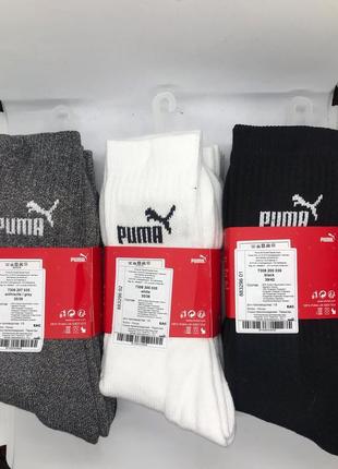 Носки ( оригинал) puma regular crew 7308-3002 фото