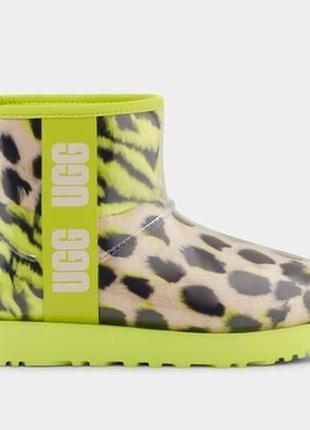 Оригинальные женские угги от ugg ausa