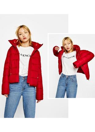 Знижка на нову куртку bershka