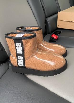 Угги женские оранжевые осенние весенние зимние ugg