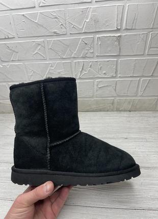 Сапожки ugg