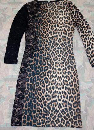 Леопардова сукня 692 фото