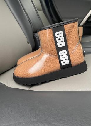 Жіночі уггі від ugg2 фото