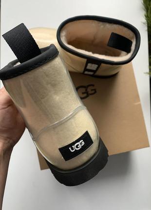 Молочні угги classic clear mini ll ugg5 фото