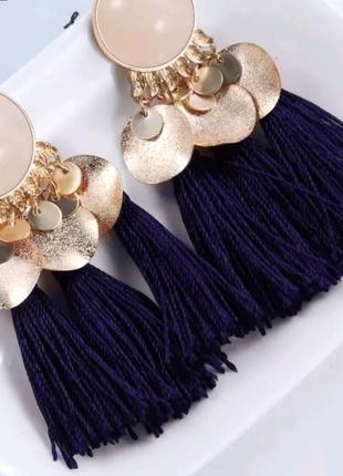 Сережки пензлика