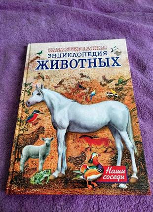 Иллюстрированная энциклопедия животных , книги для детей