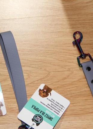 Ошейник и поводок  для маленьких пород собак acti