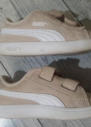 Кеды кроссовки из натуральной замши puma7 фото