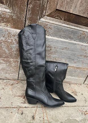 Козаки в наявності 36, 38