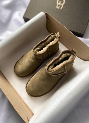 Жіночі уггі ugg ultra mini brown10 фото