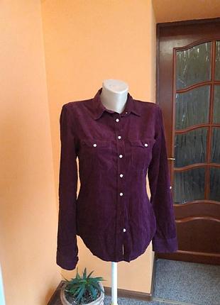 Сорочка colins