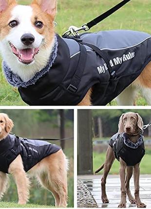 Водонипронецаемая куртка для собак доя небольшой собачки2 фото