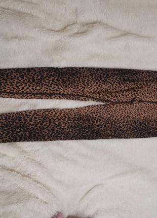 Спортивні лосини