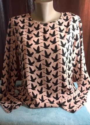 Блуза кофта сорочка жіноча принт