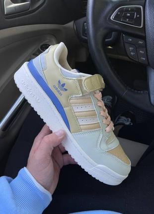 Кросівки adidas forum white grey beige blue