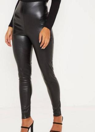 Лосины лосины