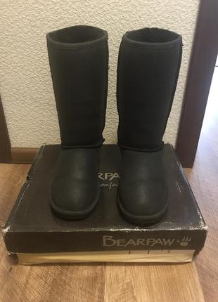 Уггі bearpaw