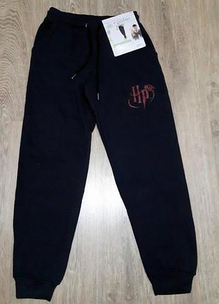 Спортивні утеплені штани джогери livergy harry potter, розмір s