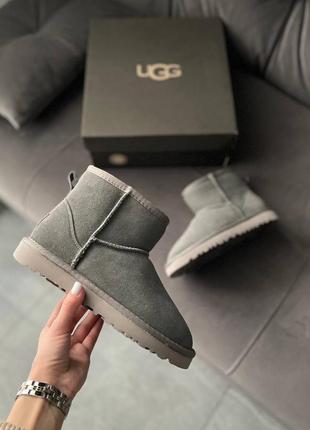 Ugg classic mini short ii boots suede grey короткі міні уггі хутро короткие мини угги мех овчина ❄️