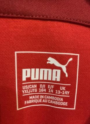 Кофта спортивная puma2 фото