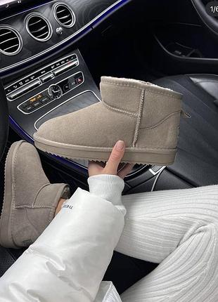 Уги взуття ugg