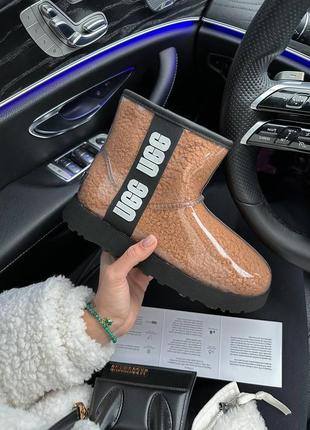 Зимові уггі ugg classic mini clear beige