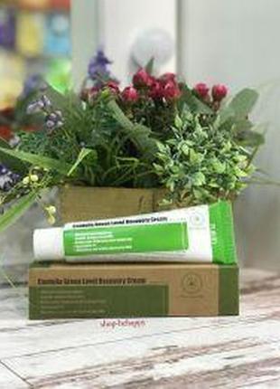 Заспокійливий крем для відновлення шкіри з центеллой La roche posay cicaplast baume b5 cream 50 мл