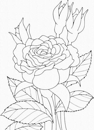 Розпис на полотні. art craft "роза" 25x30 см 15505-ac