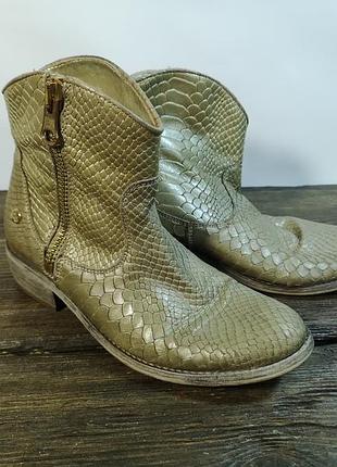 Напівчоботи шкіряні, стильні bohnos, 38 (25 см), отл упоряд!