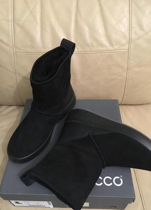 Замшевые зимние сапоги ботинки ecco