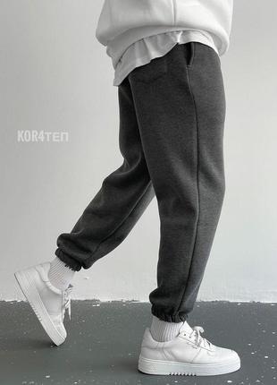 Мужские зимние спортивные штаны на флисе серые с начёсом3 фото