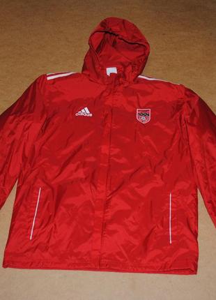 Adidas футбольная куртка красная адидас мужская