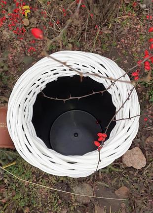 Кашпо двох стороннє, без отворів у дні, висота 50 см, об'єм 6 літрів.