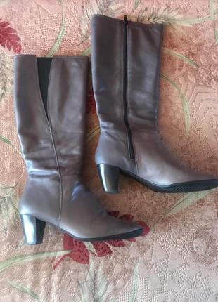 Сапоги демисезонные