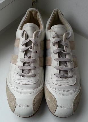 Кожаные кроссовки bianco 38р. (25.5 см.)2 фото