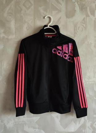 Спортивная кофта adidas олимпийка рашгард1 фото