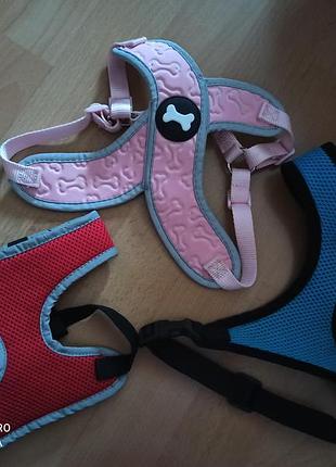 Шлея жилетка ошейник поводок
