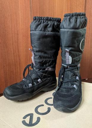 Сапоги чоботи зимові термо gore-tex розмір 323 фото